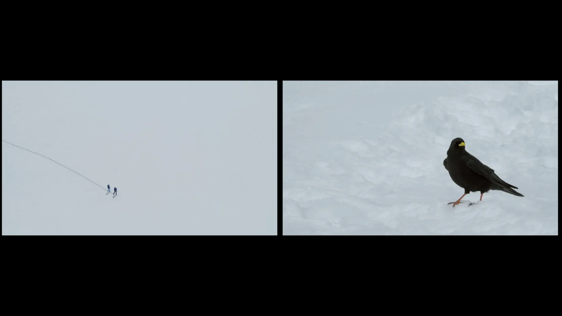 Dérive Alpine — image 4