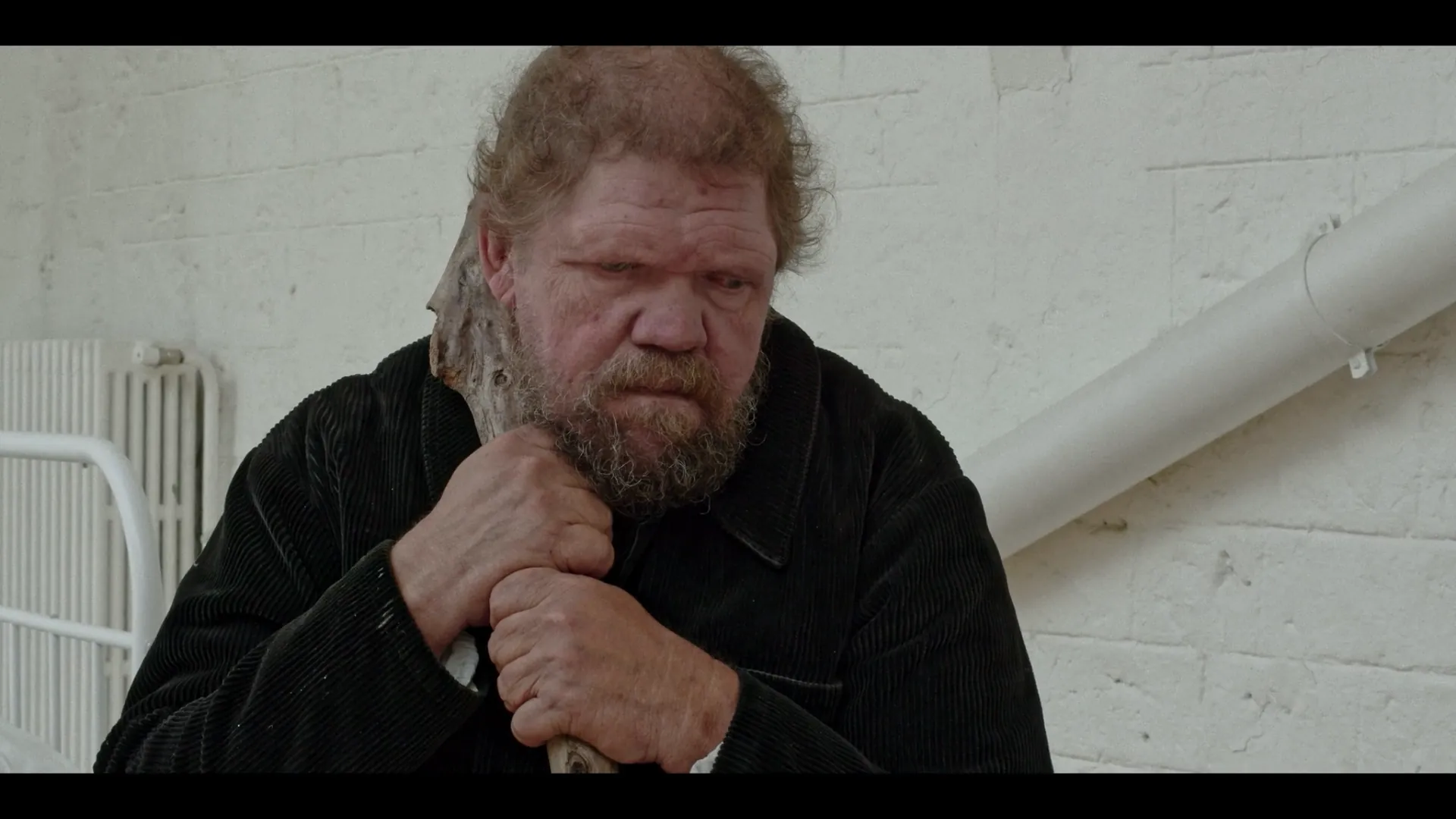 Les Loups - image 7